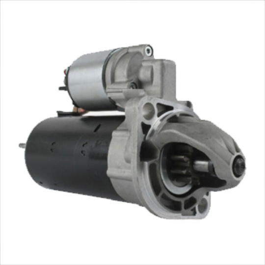 STEM0019
